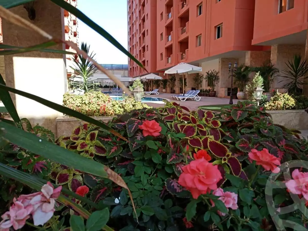 https://aqarmap.com.eg/en/listing/5337610-for-sale-cairo-nasr-city-makram-ebeid