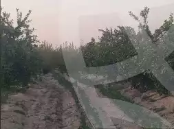 https://aqarmap.com.eg/en/listing/5347584-for-sale-beheira-wadi-el-natrun
