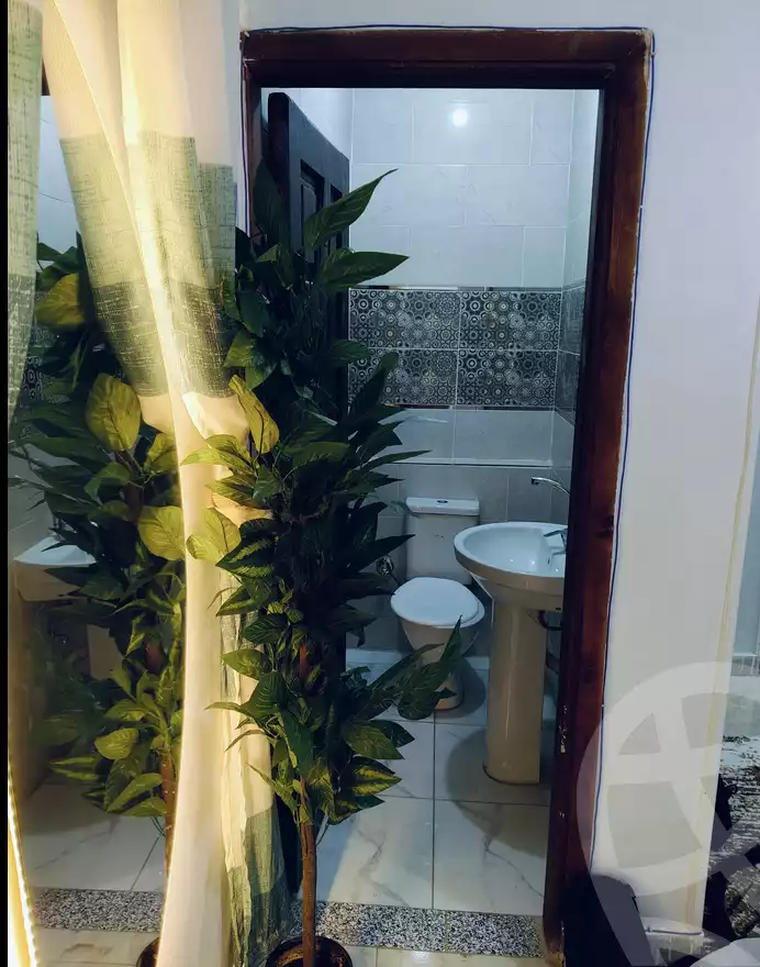 https://aqarmap.com.eg/en/listing/5352214-for-rent-cairo-nasr-city-zahraa-nasr-city