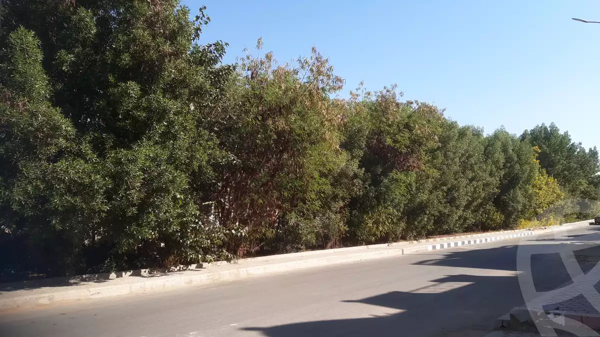 https://aqarmap.com.eg/en/listing/5355439-for-sale-cairo-al-oubour-el-hay-el-khames-samira-mousa-st