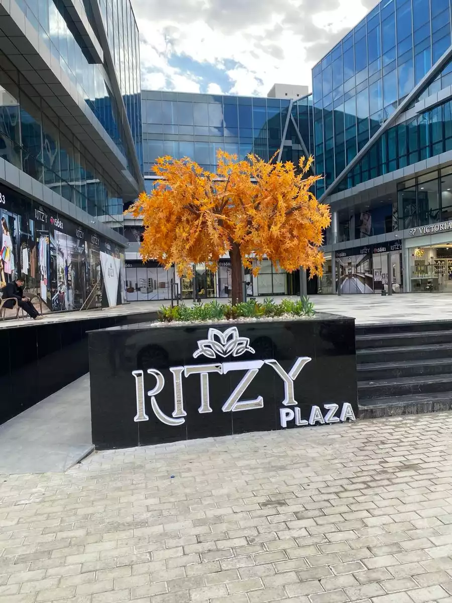 https://aqarmap.com.eg/en/listing/5357266-for-rent-cairo-el-sheikh-zayed-city-compounds-rytzy-blz-mwl-tybh-llstthmr-l-qry