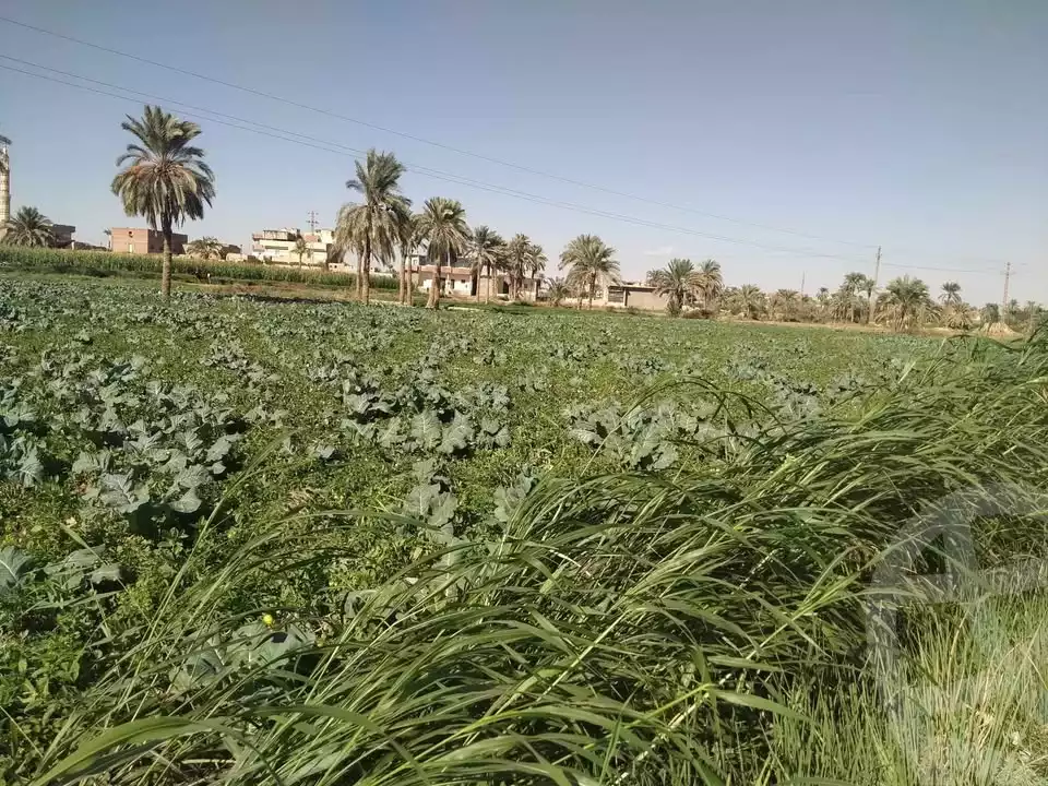 https://aqarmap.com.eg/ar/listing/5358426-for-sale-alexandria-cairo-alexandria-desert-road