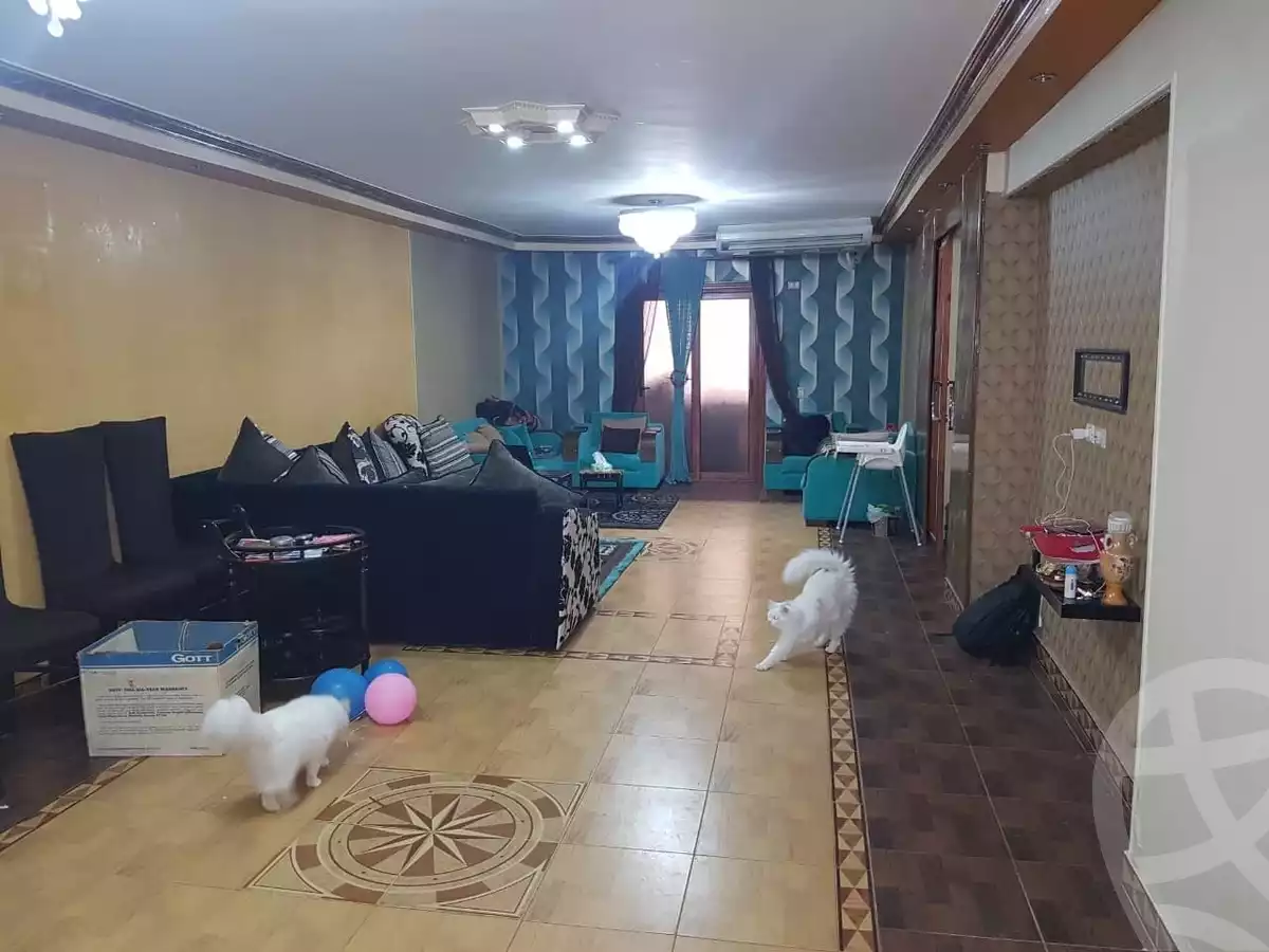 https://aqarmap.com.eg/en/listing/5364957-for-rent-cairo-nasr-city-zahraa-nasr-city