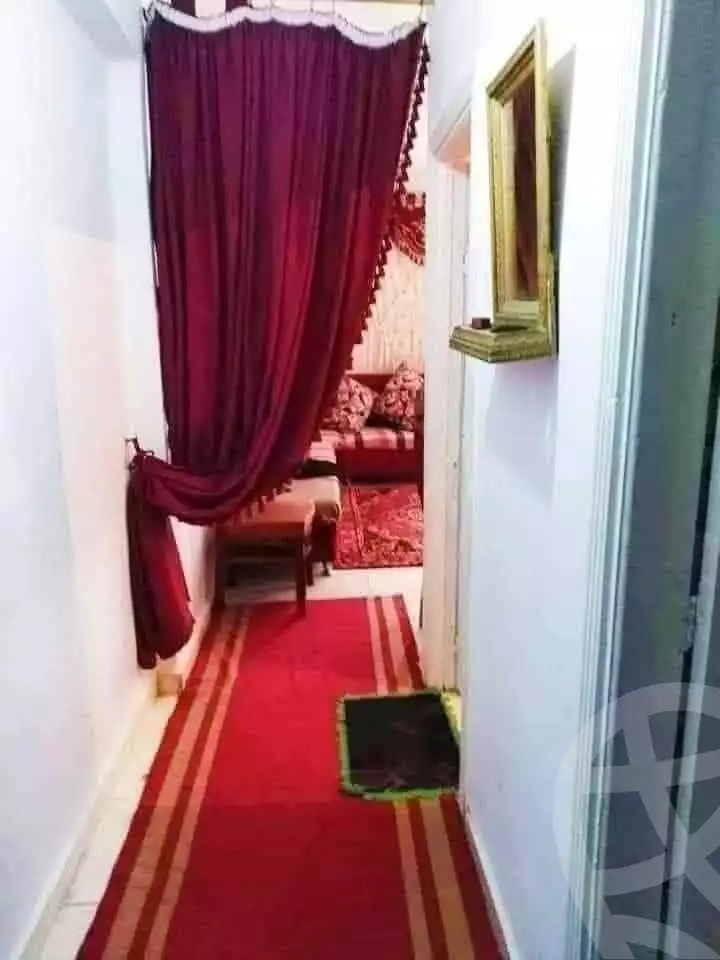 https://aqarmap.com.eg/en/listing/5374835-for-rent-alexandria-miami-khld-bn-lwlyd