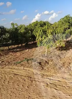 https://aqarmap.com.eg/ar/listing/5374931-for-sale-beheira-wadi-el-natrun