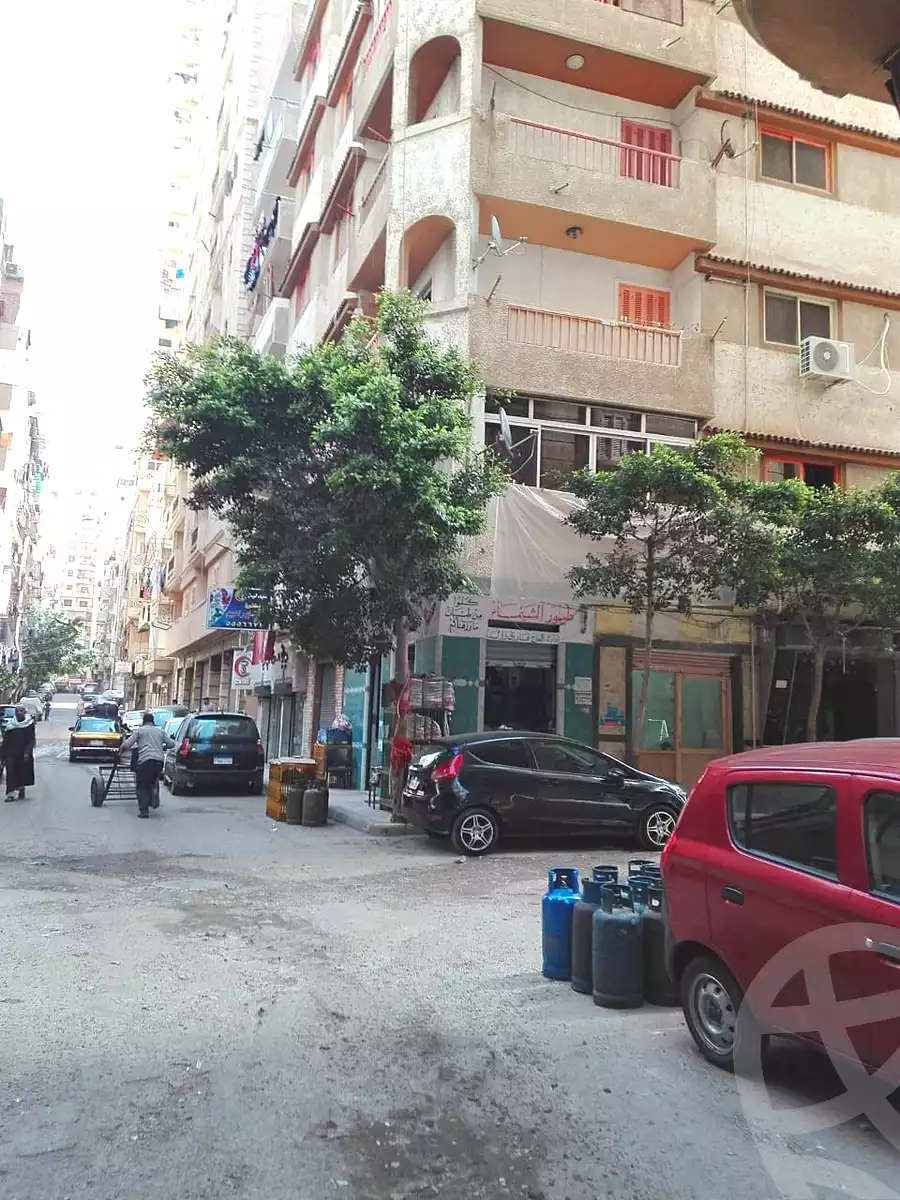 https://aqarmap.com.eg/en/listing/5375698-for-sale-alexandria-miami-mahmoud-el-isawy-st