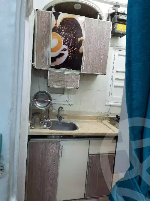https://aqarmap.com.eg/en/listing/5388221-for-rent-cairo-manial-manial-st