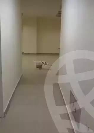 https://aqarmap.com.eg/en/listing/5391694-for-rent-cairo-dokki