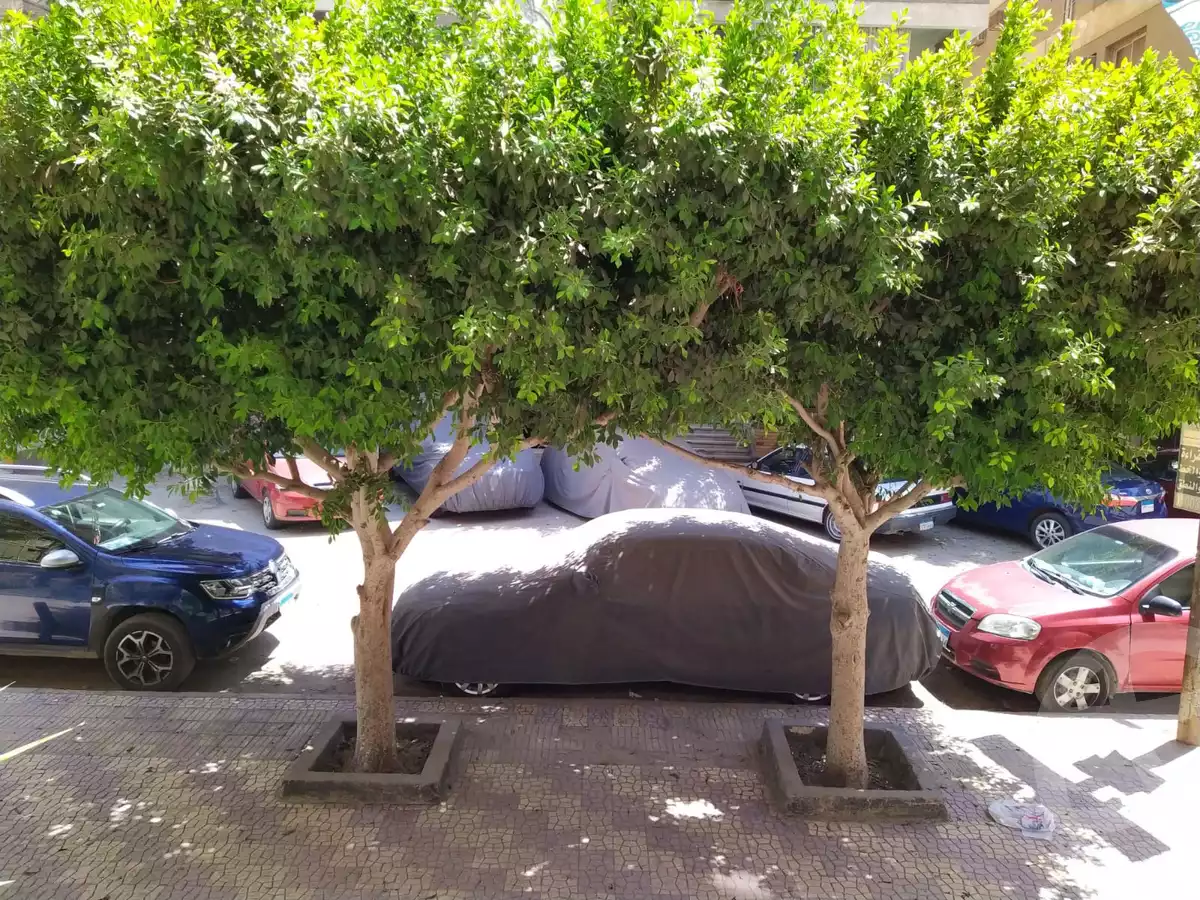 https://aqarmap.com.eg/en/listing/5398406-for-sale-cairo-nasr-city-abbas-el-akkad