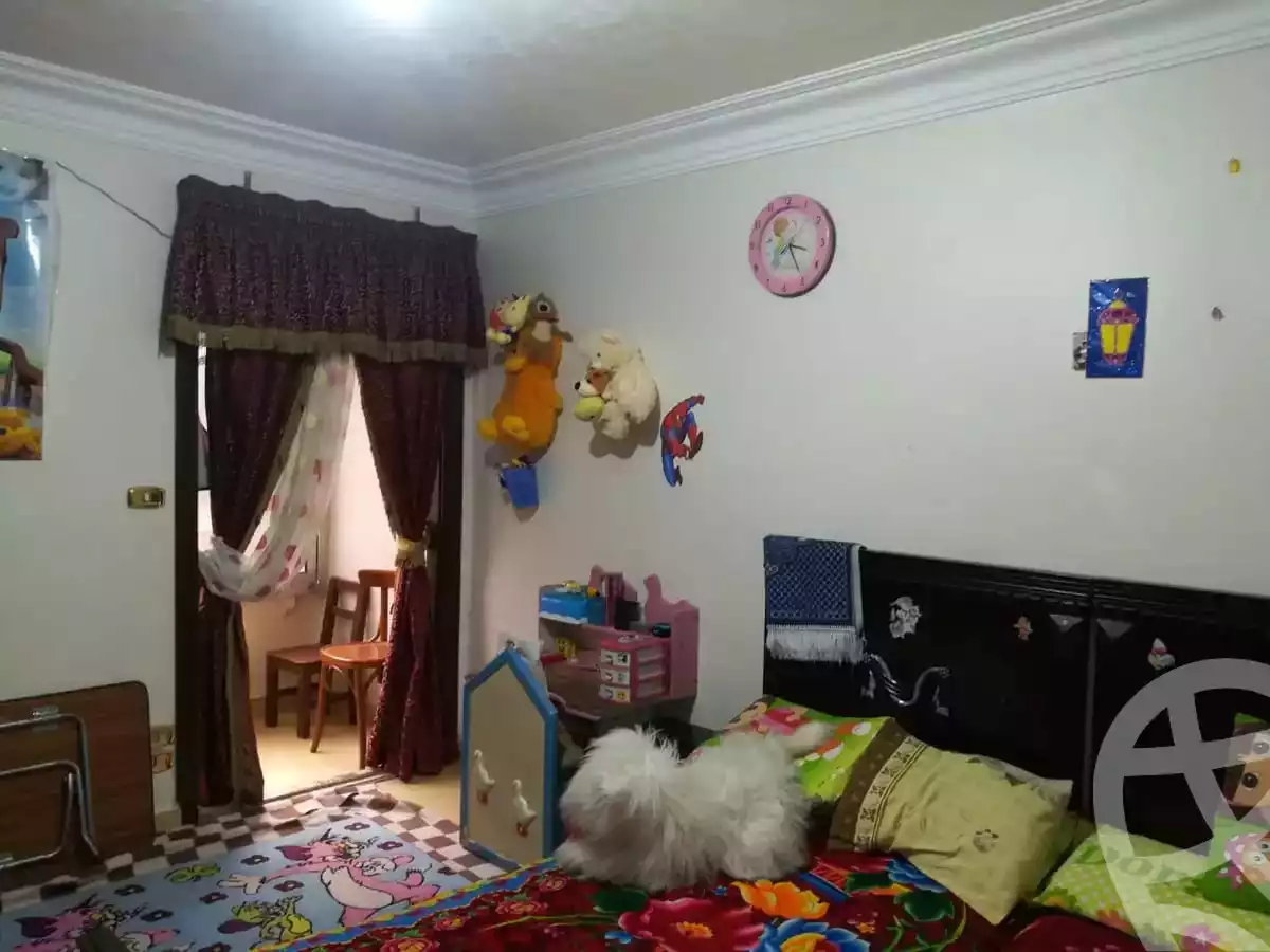 https://aqarmap.com.eg/en/listing/5402632-for-rent-cairo-ain-shams-el-naam