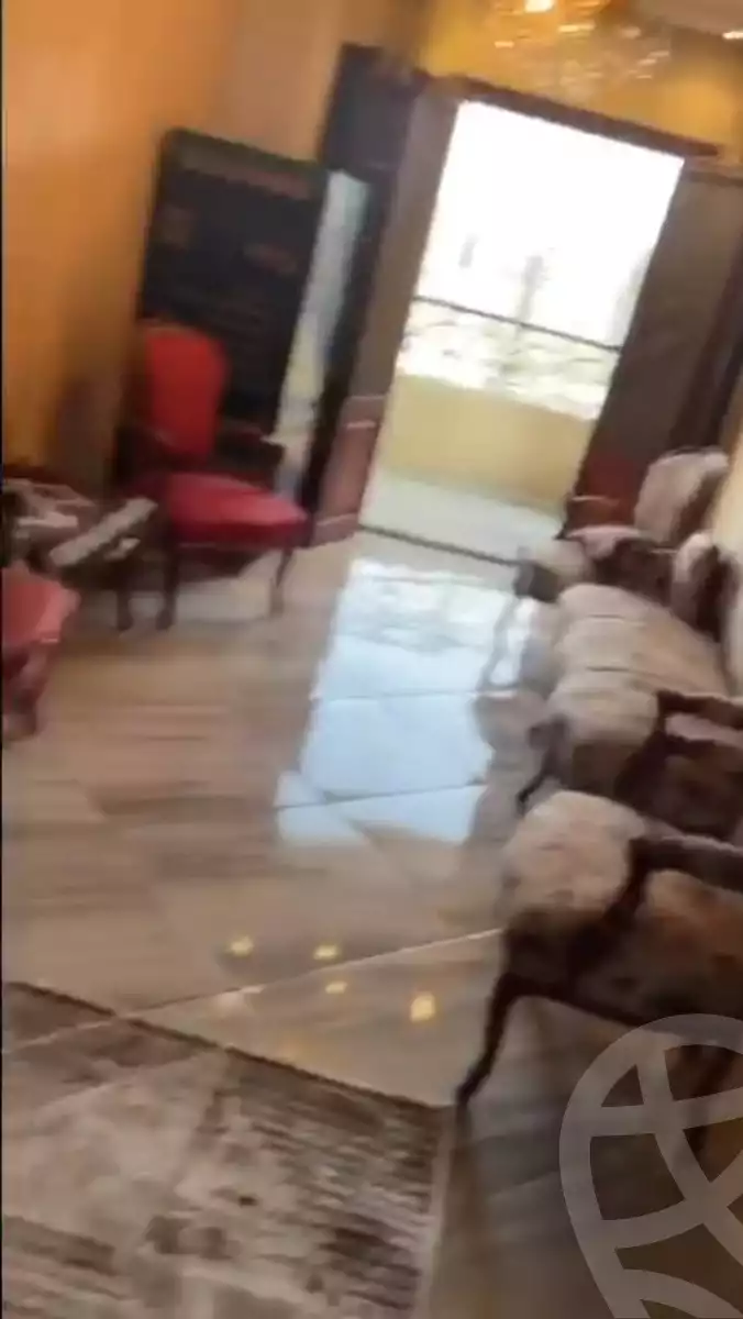 https://aqarmap.com.eg/en/listing/5403896-for-rent-cairo-el-haram-shareaa-khatem-el-morsalen