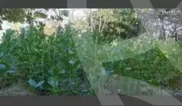 https://aqarmap.com.eg/en/listing/5414586-for-sale-beheira-wadi-el-natrun