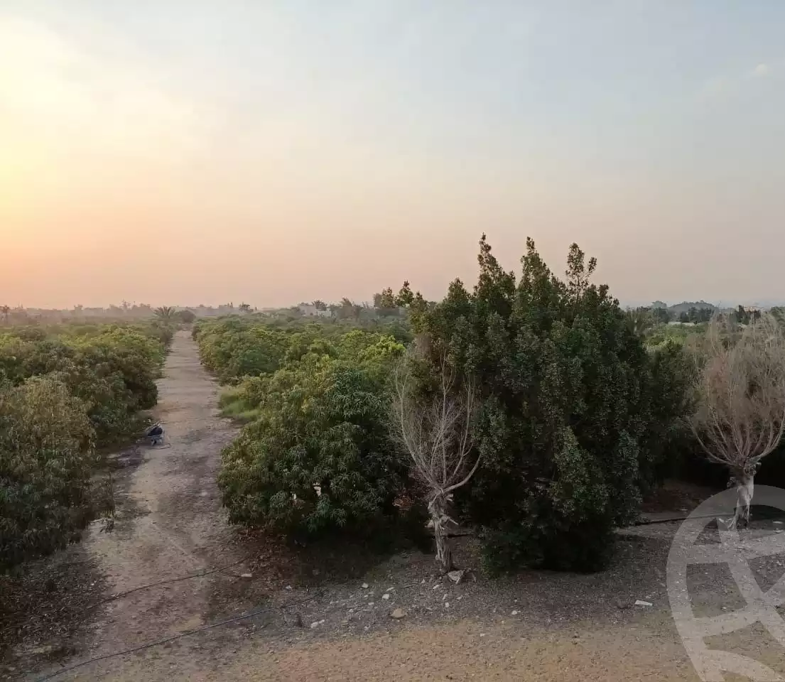https://aqarmap.com.eg/en/listing/6080214-for-sale-cairo-al-oubour-jm-y-rby-kht-2-shml