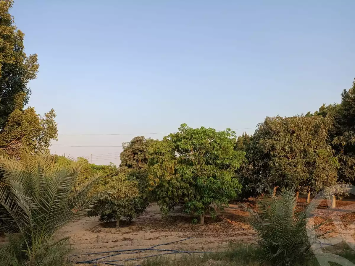 https://aqarmap.com.eg/en/listing/6080214-for-sale-cairo-al-oubour-jm-y-rby-kht-2-shml