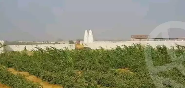 https://aqarmap.com.eg/ar/listing/5424266-for-sale-el-fayoum-fayoum