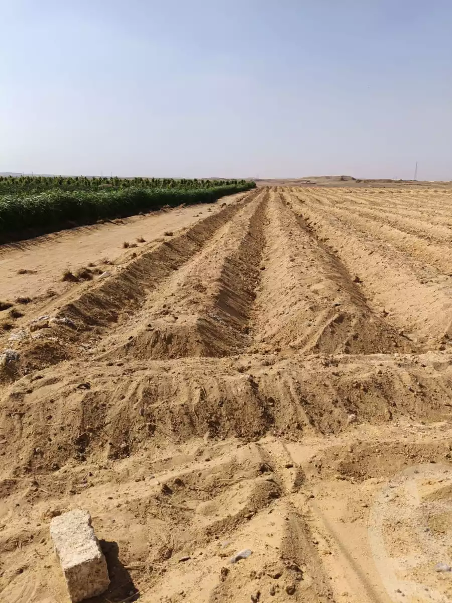 https://aqarmap.com.eg/en/listing/5433505-for-sale-beheira-wadi-el-natrun