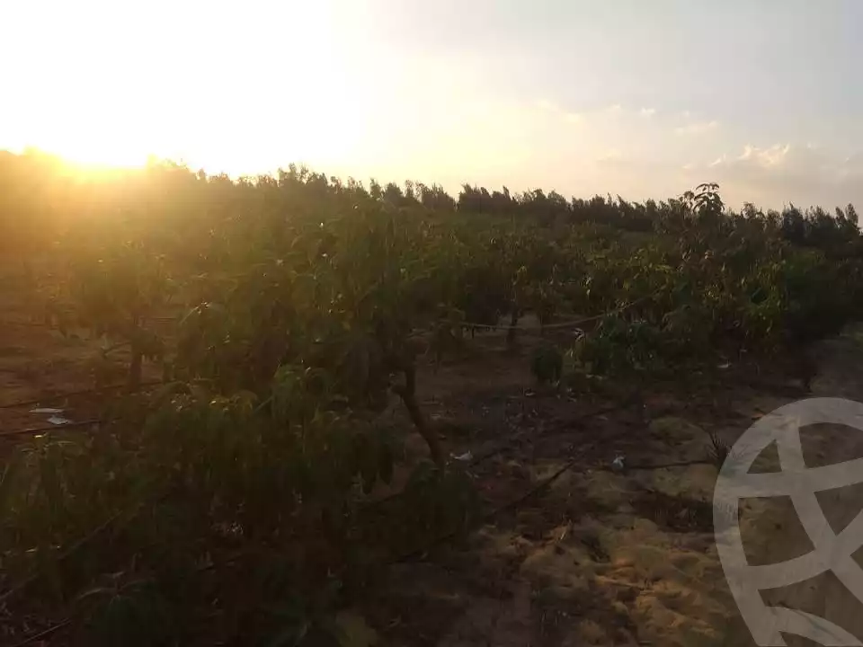 https://aqarmap.com.eg/ar/listing/5433558-for-sale-beheira-wadi-el-natrun