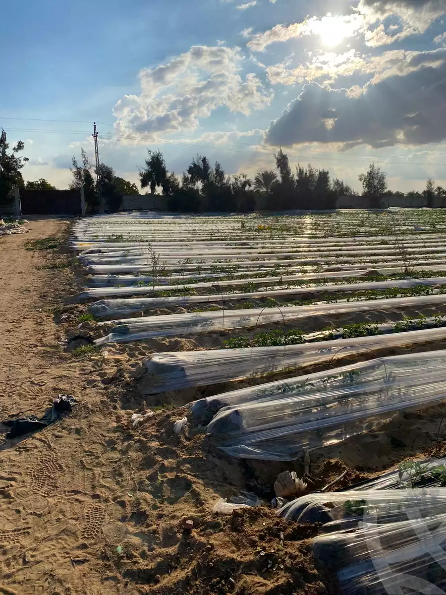 https://aqarmap.com.eg/en/listing/5442189-for-sale-ismailia-ismailia-city-al-asher-men-ramadan-st