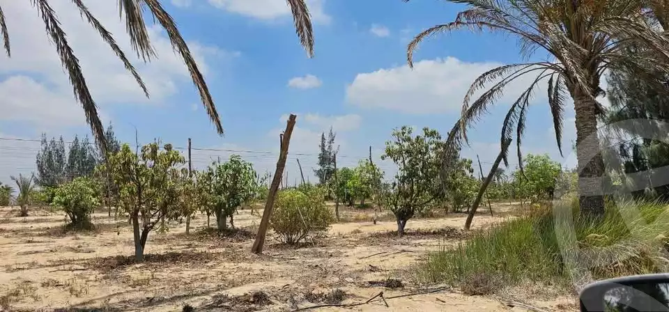 https://aqarmap.com.eg/ar/listing/5454609-for-sale-alexandria-cairo-alexandria-desert-road