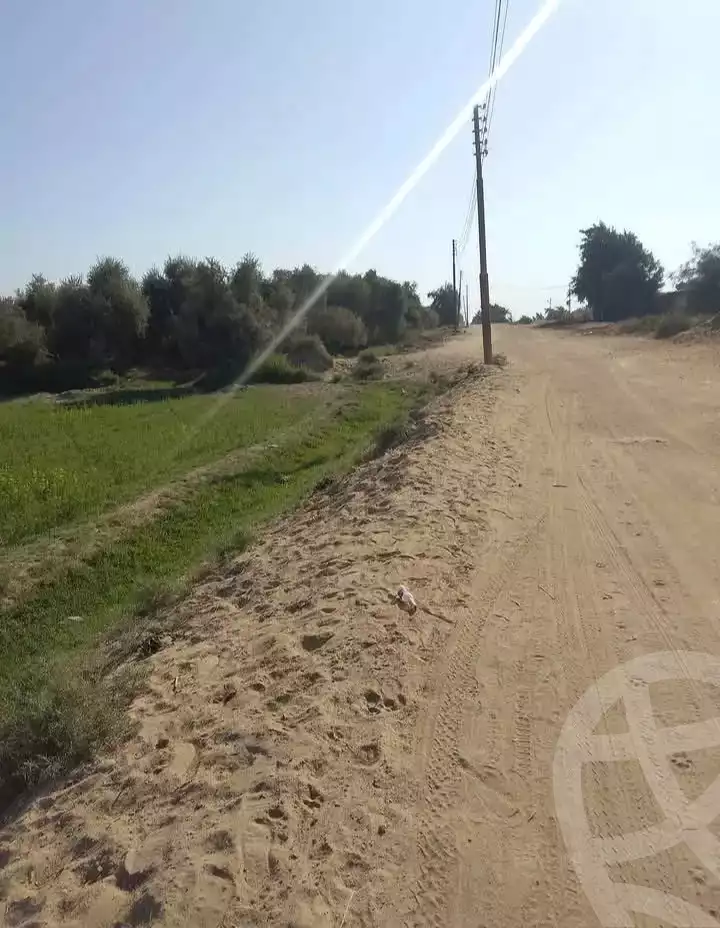 https://aqarmap.com.eg/en/listing/5460981-for-sale-el-fayoum-tamiya
