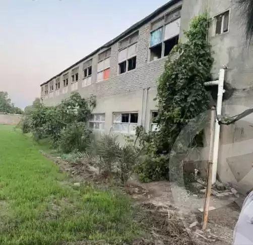 https://aqarmap.com.eg/en/listing/5462606-for-sale-dakahlia-talkha-kafr-damera-el-geded
