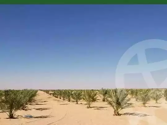 https://aqarmap.com.eg/en/listing/5462808-for-sale-marsa-matruh-siwa-oasis-wahet-siwaa-city