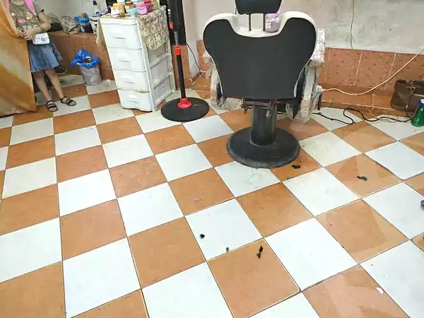 https://aqarmap.com.eg/en/listing/5465401-for-sale-alexandria-bakoos