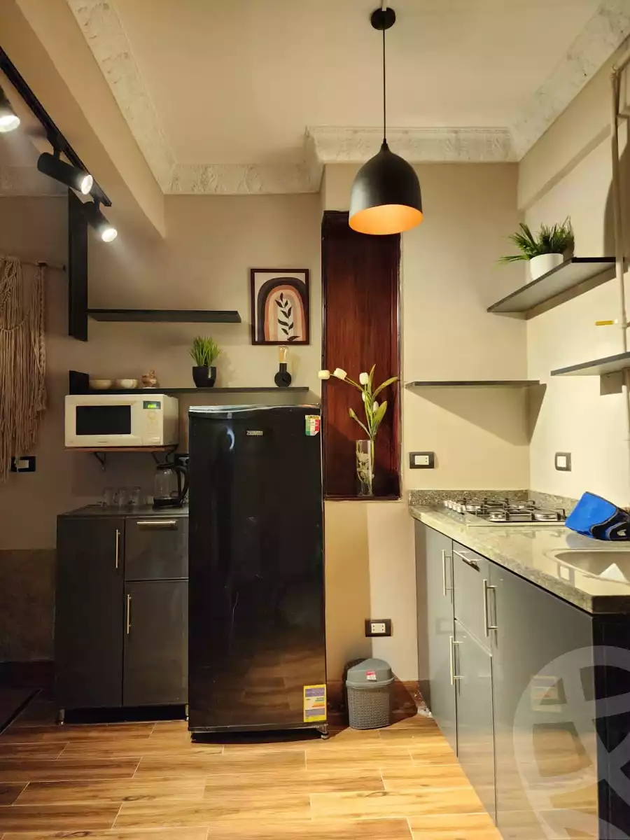 https://aqarmap.com.eg/en/listing/5466064-for-rent-cairo-al-zamalek