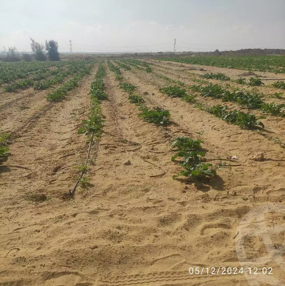 https://aqarmap.com.eg/en/listing/5466544-for-sale-beheira-wadi-el-natrun