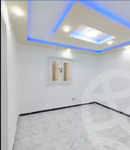 https://aqarmap.com.eg/en/listing/5472310-for-sale-alexandria-l-jmy-shataa-el-nakheel