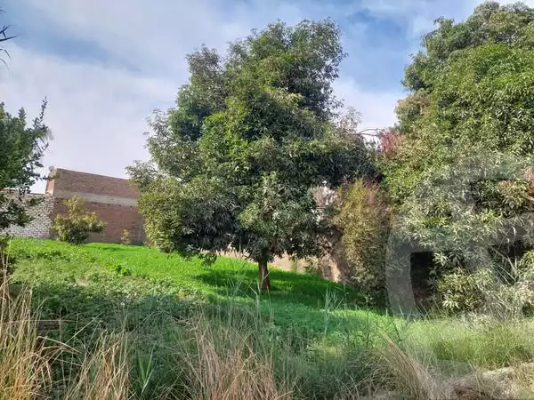 https://aqarmap.com.eg/ar/listing/5477500-for-sale-luxor-el-bayadiyah-el-bayadiyah-city