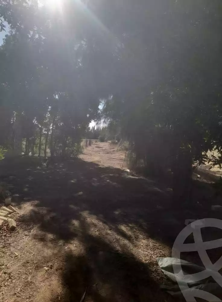 https://aqarmap.com.eg/en/listing/5477669-for-sale-beheira-wadi-el-natrun