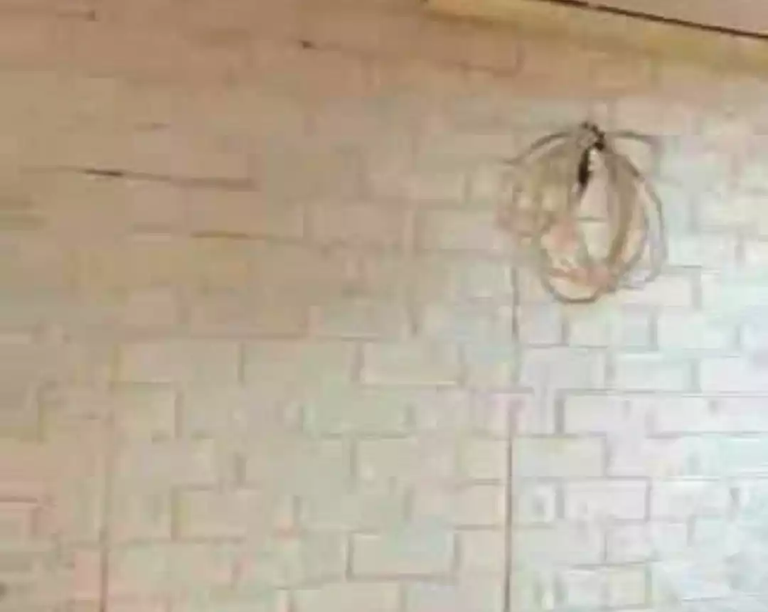 https://aqarmap.com.eg/ar/listing/5484574-for-sale-asyut-asyut-city