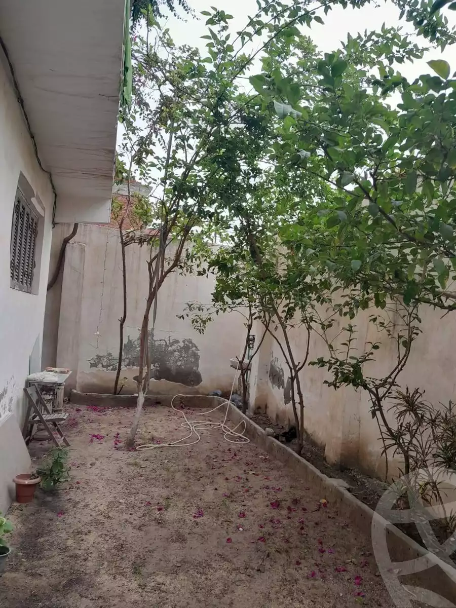 https://aqarmap.com.eg/en/listing/5484903-for-sale-alexandria-l-jmy-shataa-el-nakheel