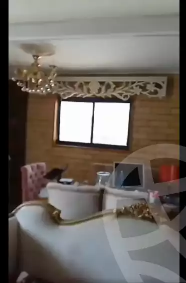 https://aqarmap.com.eg/en/listing/5551746-for-sale-alexandria-l-jmy-lbytsh-khalil-ballw-st