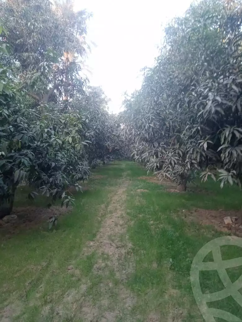 https://aqarmap.com.eg/ar/listing/5555626-for-sale-ismailia-ismailia-city