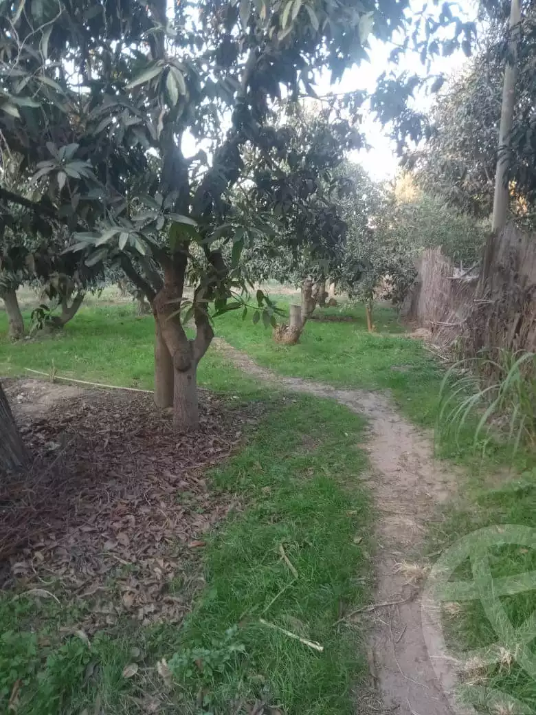https://aqarmap.com.eg/ar/listing/5555626-for-sale-ismailia-ismailia-city