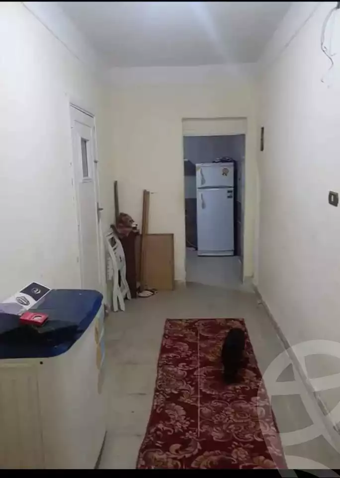 https://aqarmap.com.eg/en/listing/5560407-for-sale-alexandria-l-jmy-lbytsh-bianchiii