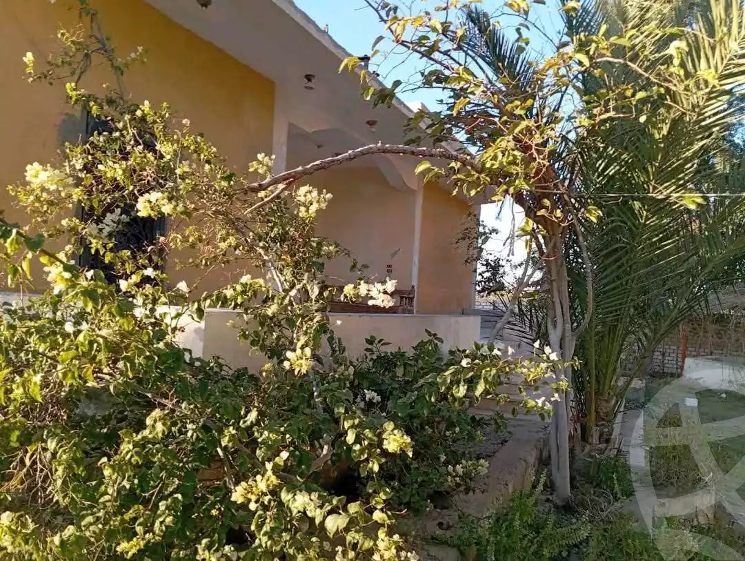 https://aqarmap.com.eg/en/listing/5561122-for-sale-el-minia-mdyn-lmny