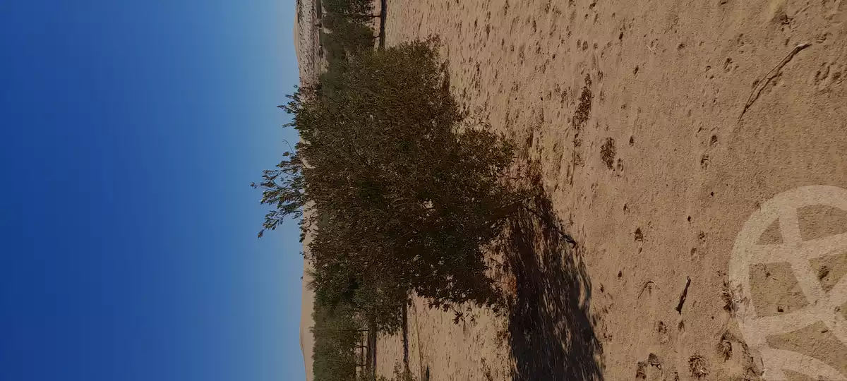 https://aqarmap.com.eg/en/listing/5569443-for-sale-marsa-matruh-siwa-oasis-wahet-siwaa-city