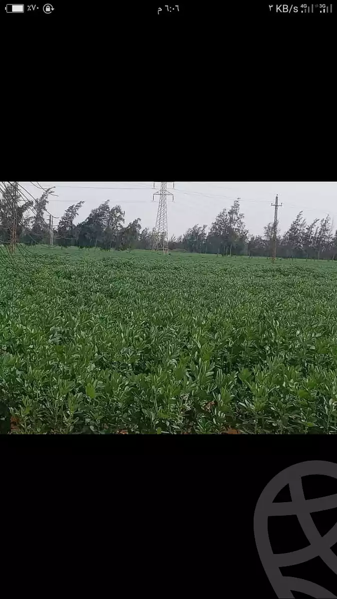 https://aqarmap.com.eg/ar/listing/5577026-for-sale-alexandria-cairo-alexandria-desert-road