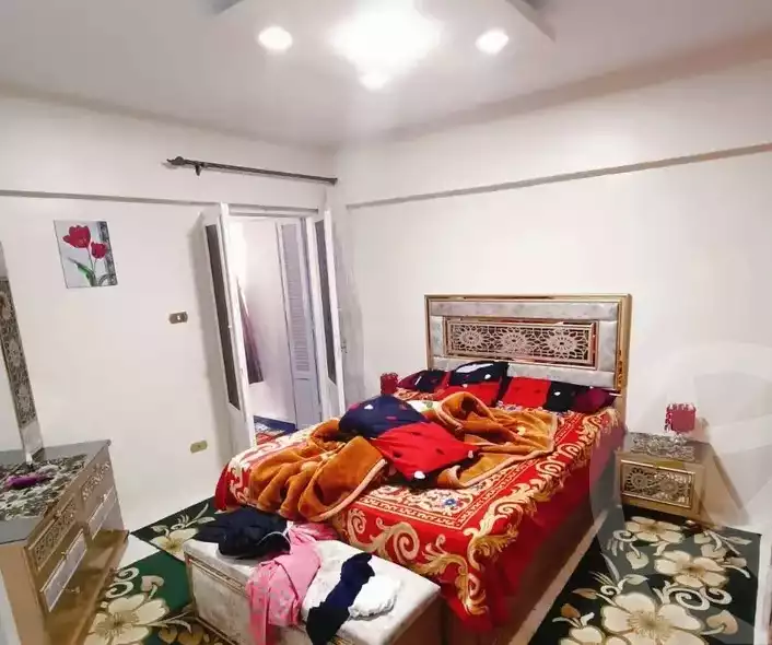 https://aqarmap.com.eg/en/listing/5917705-for-sale-alexandria-l-jmy-el-hanouvel-rich-home-st