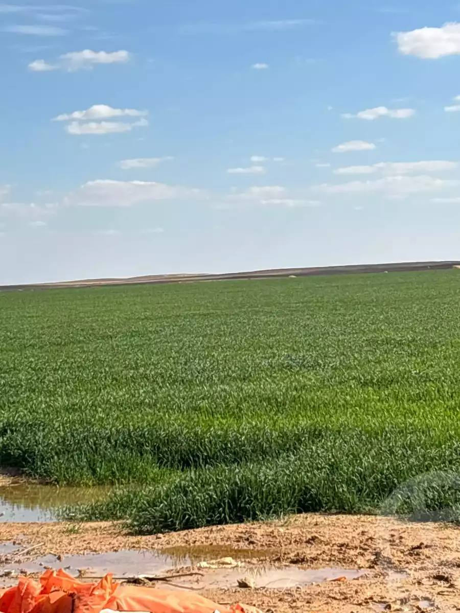 https://aqarmap.com.eg/en/listing/5600115-for-sale-cairo-ljyz-bahariya-oasis