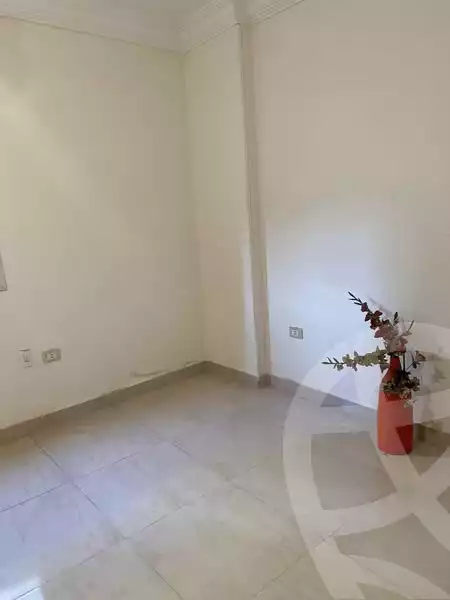 https://aqarmap.com.eg/en/listing/5604459-for-rent-cairo-mokattam-el-hadabah-el-wosta-el-mantaqa-el-olaa-baron-school-street