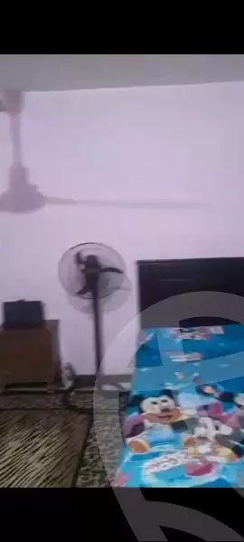 https://aqarmap.com.eg/en/listing/5604698-for-rent-cairo-el-haram-bolak-el-dakror