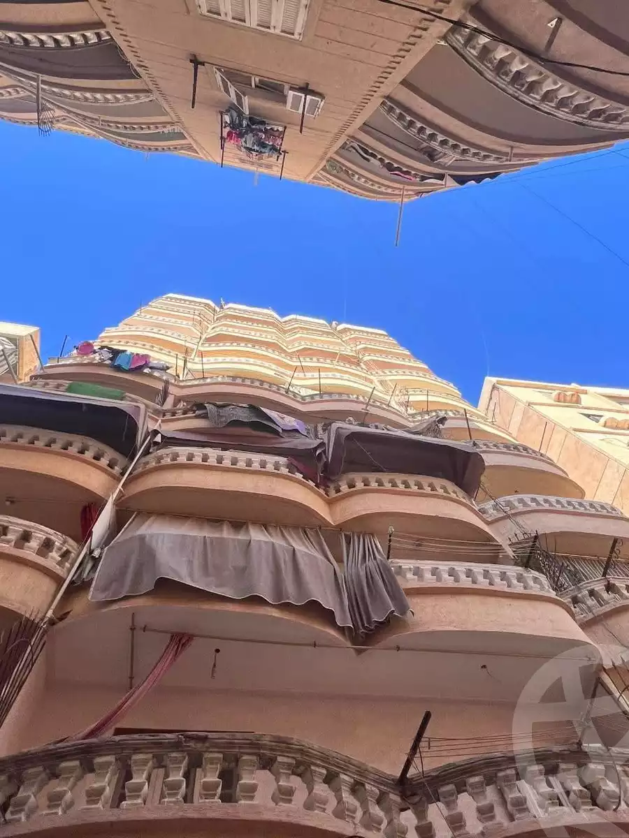 https://aqarmap.com.eg/en/listing/5913988-for-sale-alexandria-l-jmy-lbytsh-bianchiii