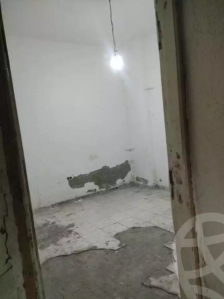 https://aqarmap.com.eg/en/listing/5615020-for-rent-alexandria-l-jmy-lbytsh