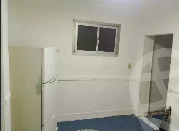 https://aqarmap.com.eg/ar/listing/5616936-for-rent-cairo-manial