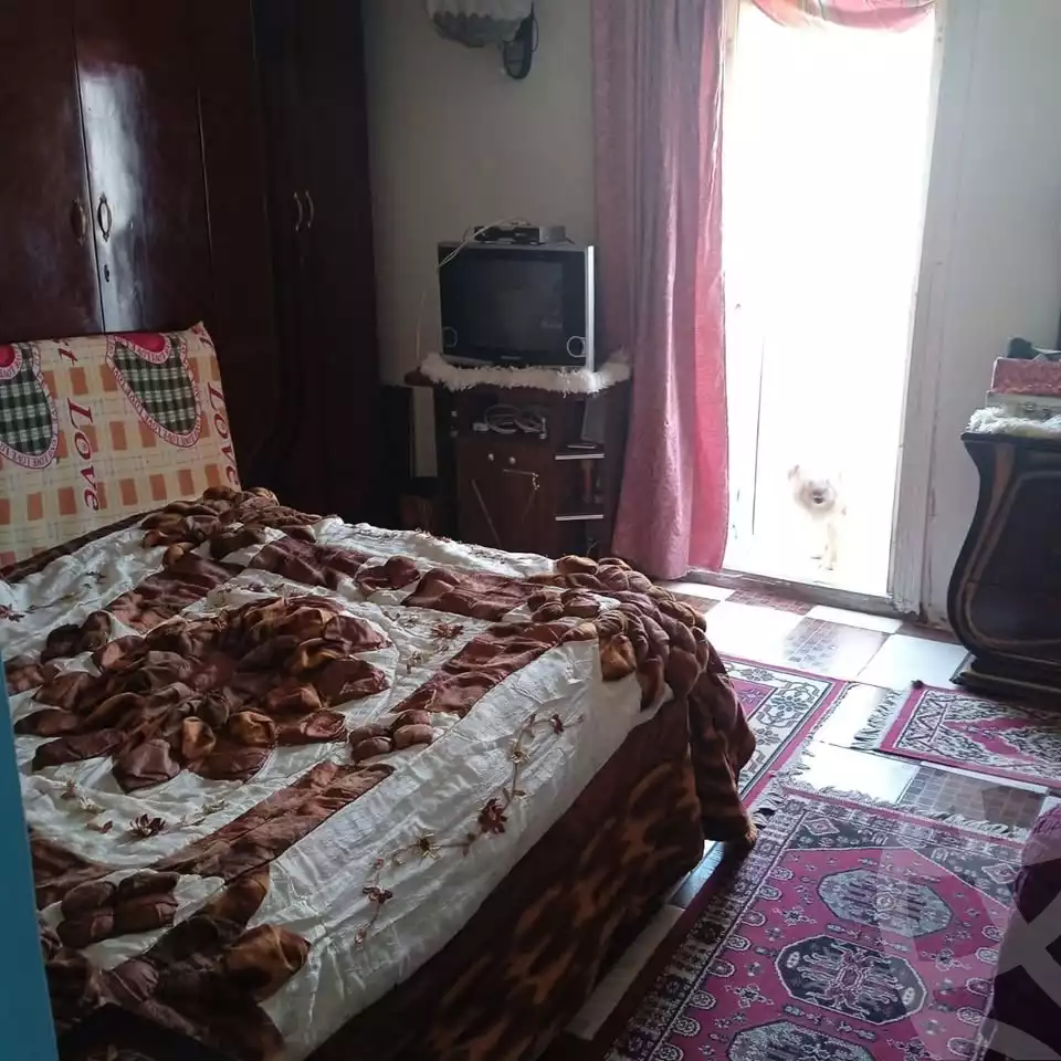 https://aqarmap.com.eg/en/listing/5621830-for-sale-alexandria-l-jmy-shataa-el-nakheel