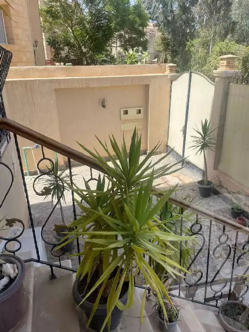 https://aqarmap.com.eg/en/listing/5629514-for-sale-cairo-el-sheikh-zayed-city-compounds-el-yasmeen-compound